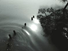 the sun shines through the foggy water in this black and white photo,