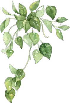 watercolor painting of green leaves on a white background with the words, love is in the air