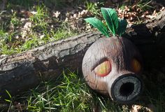 a planter with leaves sticking out of it sitting in the grass next to a fallen tree