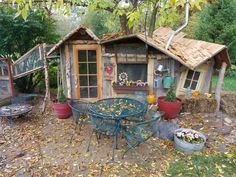 a garden shed with lots of potted plants and flowers in the yard next to it