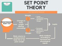 What is the set point theory of weight and can you do anything about it? - Fad Free Nutrition Blog Set Point Weight Theory, Nutrition Classes, Body Positive Quotes, Weight Maintenance, Weight Set, Weight Control, Intuitive Eating