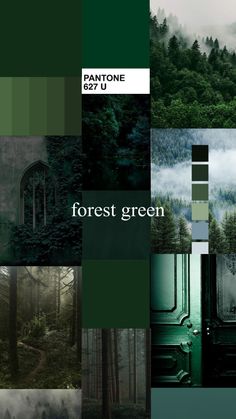 a collage of photos with trees and fog in the background that says forest green