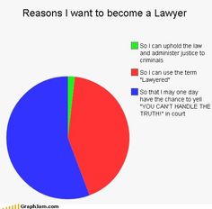 a pie chart with the words reason i want to become a lawer on it