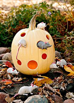 a pumpkin with mice on it sitting in the middle of some leaves and rocks,