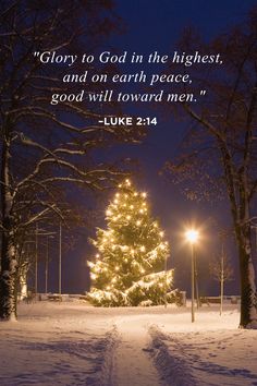 Luke 2:14 Christmas, Christian Christmas Quotes, Religious Christmas Quotes, Barbie Quotes, Bear Quote, Christmas Bible, Luke 2