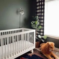 a baby's room with a white crib, rug and potted plant