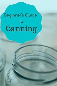 jars with the words beginner's guide to canning in blue overlays