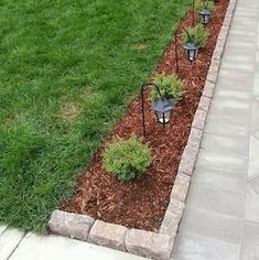 some plants are growing in the corner of a garden bed, along with other lawn and landscaping items