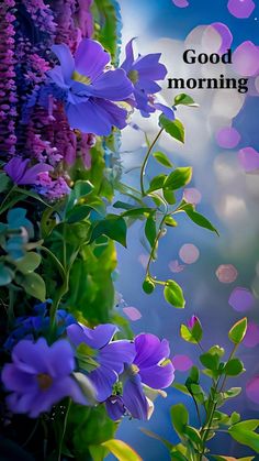 purple flowers with green leaves and the words good morning on it in front of a blue sky