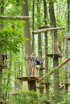 two people are walking across a rope bridge in the woods