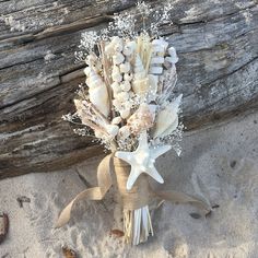 a bouquet of shells and starfish tied to a piece of driftwood on the beach