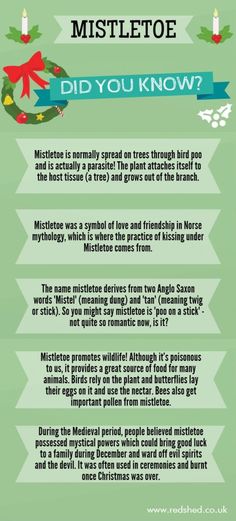 a green poster with the words mistettoe and what did you know about it?