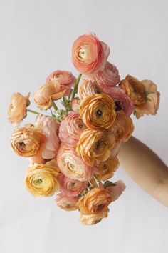 woman holding a bouquet of different colored ranunculus Ranunculus Bridal Bouquet, Coral Ranunculus, Bouquet Ranunculus, Ranunculus Wedding Bouquet, Ranunculus Arrangement, Wedding Bouquet White, Ranunculus Wedding, Peach Ranunculus, Orange Ranunculus