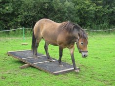 a brown horse standing on top of a metal grate in a green field next to trees