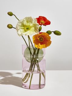 three different colored flowers in a clear vase on a white surface with shadow from the wall behind them