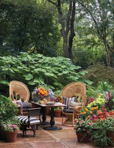 an outdoor patio with wicker chairs and table surrounded by potted plants on the ground