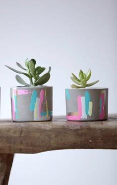 three potted plants sitting on top of a wooden table