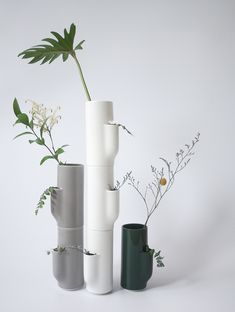 three vases with plants in them sitting next to each other on a white surface