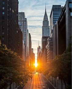 the sun is setting on a city street with tall buildings in the background and trees lining both sides