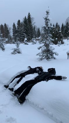 a person laying in the snow next to some trees