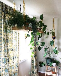 a living room filled with lots of plants next to a window covered in green curtains