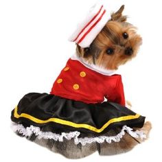 a small dog dressed up in a costume