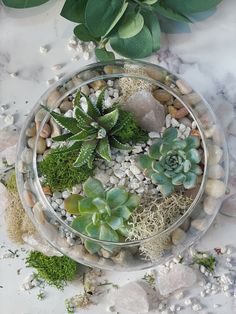 a glass bowl filled with succulents and rocks