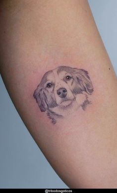 a dog's head is shown on the arm