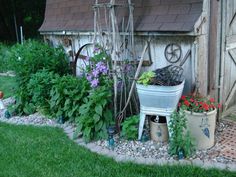 the garden is full of flowers, plants and old fashioned things to grow in it