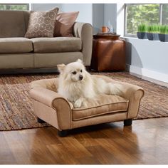 a living room scene with focus on the dog bed