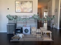 a caged in room with various items on the floor and paintings hanging above it