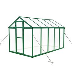 a small green house with two windows on each side