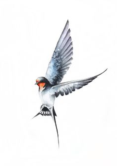 a watercolor painting of a bird flying in the air with it's wings spread