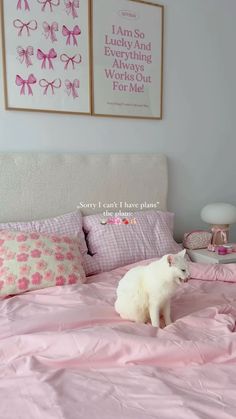 a white cat sitting on top of a pink comforter in a room with two framed pictures above the bed