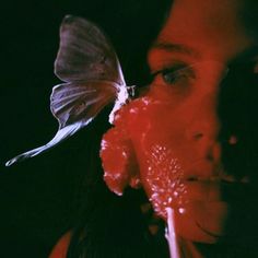 Neil Krug, Neon Demon, Born Again, Red Aesthetic, A Butterfly, Camera Photography, Cinematography