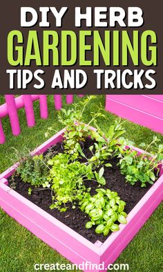 Beginner tips for growing herbs. Starting An Herb Garden, Herbs In Pots, Growing Herbs In Pots, Gardening Tips And Tricks, Growing Herbs Indoors, Diy Garden Bed, Herb Gardening, Herbs Indoors, Garden Buildings