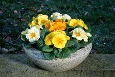 yellow and white flowers in a stone bowl