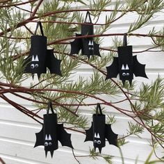 some bats hanging from a tree with eyes on them