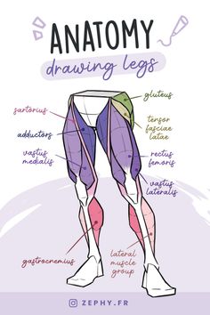 the anatomy of an leg with labels on it