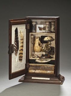 an open book with feathers and other items in it's display case on a table