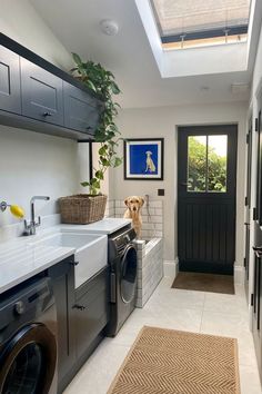 a dog sitting in the middle of a laundry room with a washer and dryer