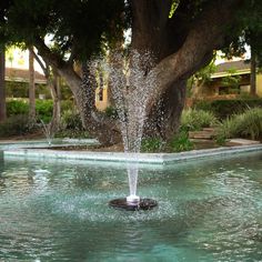 a fountain spewing water into a pool surrounded by trees