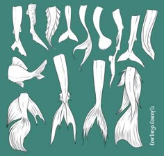 an image of different shapes and sizes of hair