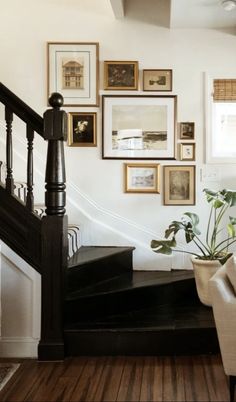 a staircase with pictures on the wall and a potted plant in front of it