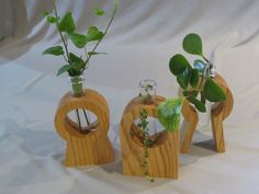 three wooden vases with plants in them