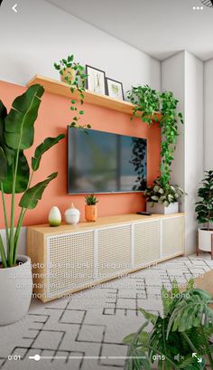 a living room filled with lots of plants and a flat screen tv mounted on a wall