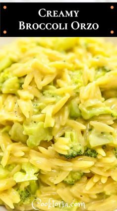 this creamy broccoli orzo is the perfect side dish for any meal