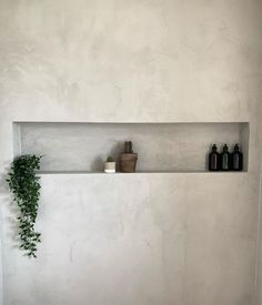 a shelf with some plants and bottles on it