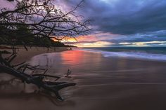 the sun is setting on an empty beach with driftwood in the foreground and dark clouds overhead