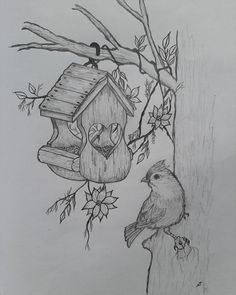 a pencil drawing of a bird perched on a tree branch with a birdhouse in the background